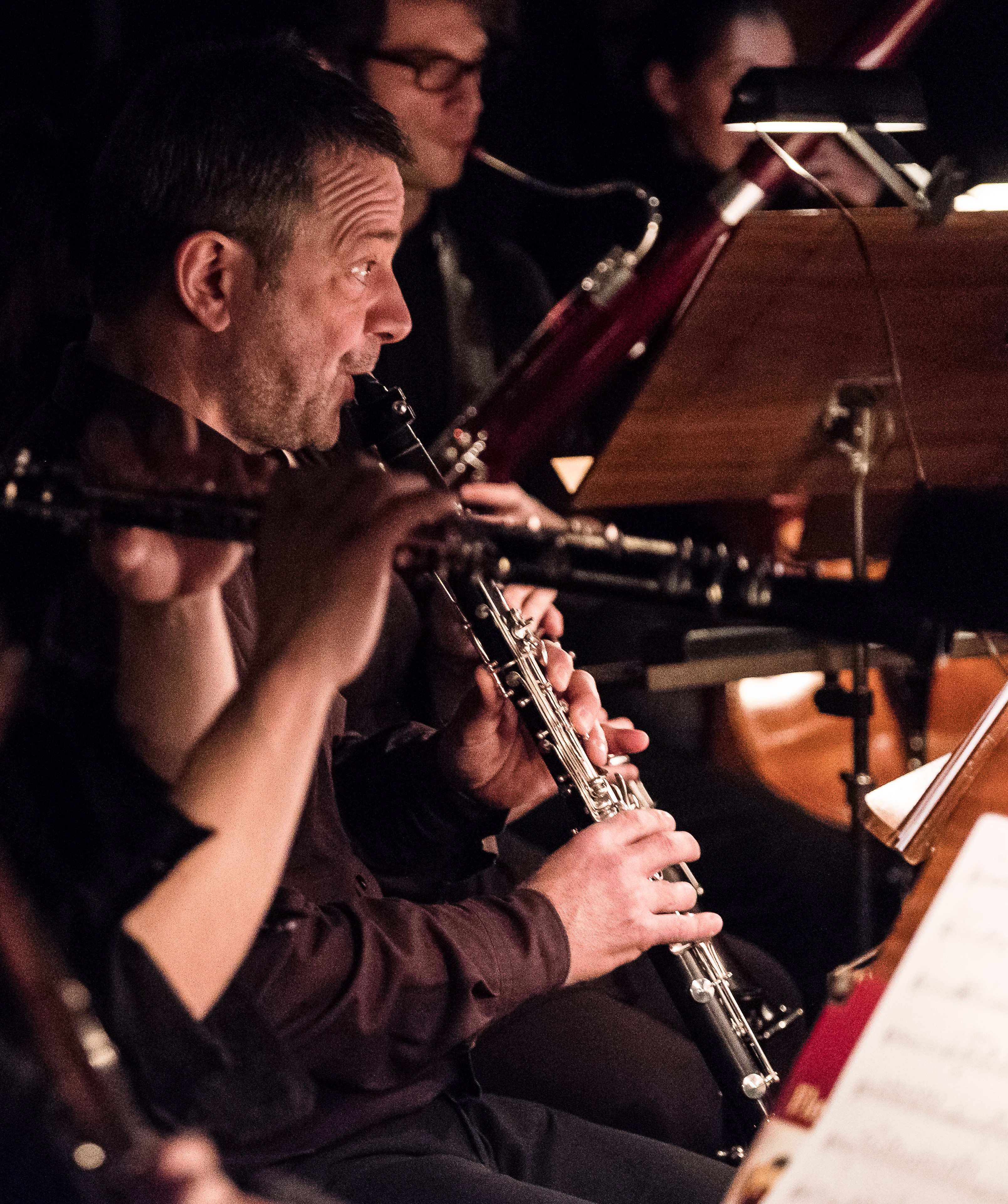 Fledermaus Sursee 17
